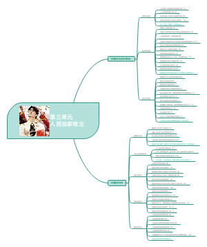 第三单元人民当家做主﻿
