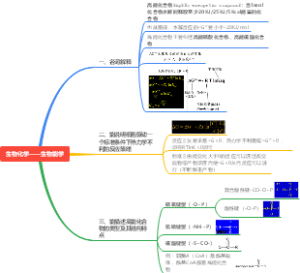生物化学——生物能学