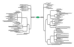 药理学传出神经系统