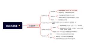 第三十章出血热病毒