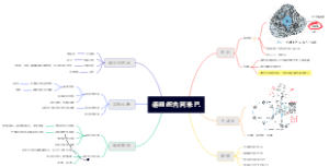 溶组织内阿米巴