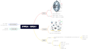 并殖吸虫（肺吸虫）