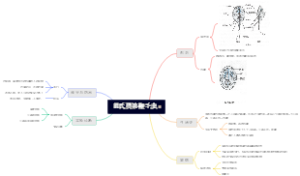 蓝氏贾第鞭毛虫