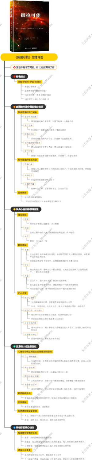 《拥抱可能》思维导图