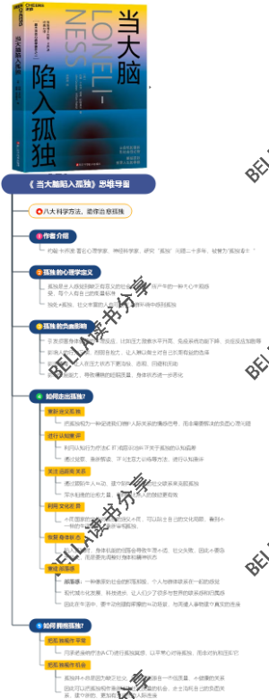 《 当大脑陷入孤独》思维导图
