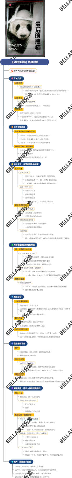 《最后的熊猫》思维导图