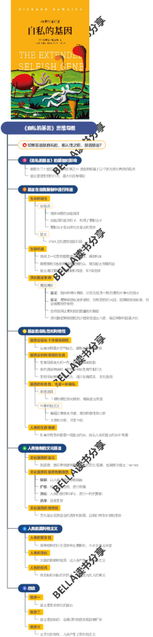 《自私的基因》思维导图