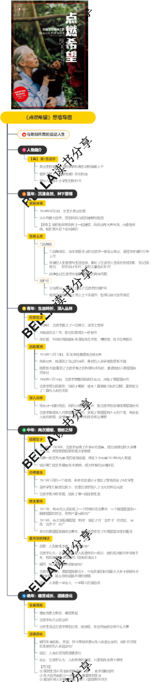 《点燃希望》思维导图