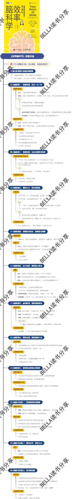 《效率脑科学》思维导图