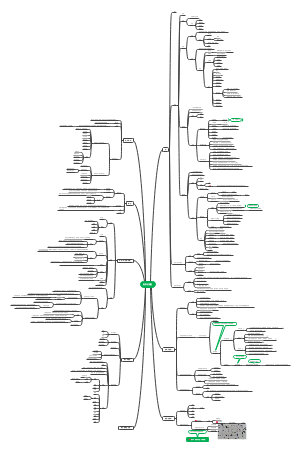 种子植物的繁殖器官
