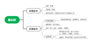 局解股后区