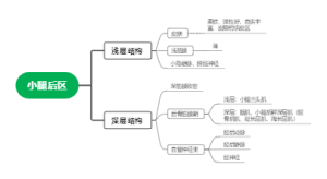 局解小腿后区