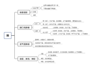 局解肺
