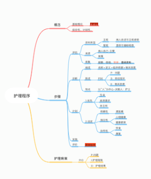 护理程序