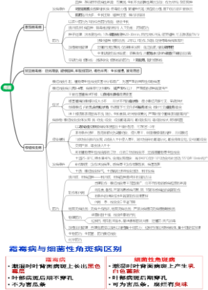 菌物病害