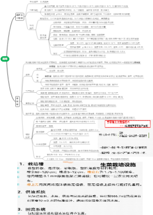 蔬菜无土栽培