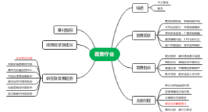 中国百货行业分析报告