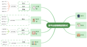 各平台短视频呈现形式