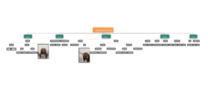 初级染发技师晋升标准