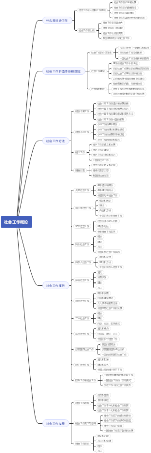 社会工作概论（王思斌）2.0