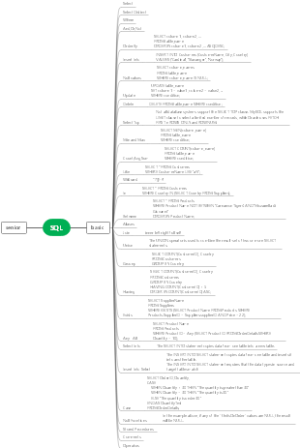 SQL基础
