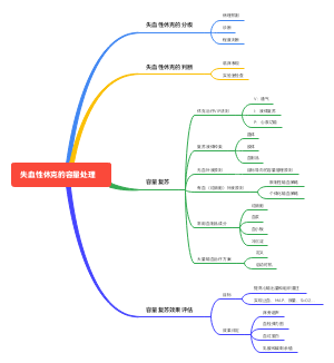 失血性休克的容量处理