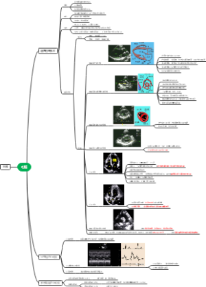 心脏正常超声表现基础