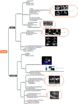 心脏瓣膜病心肌病超声表现