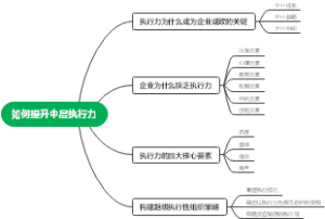 执行力