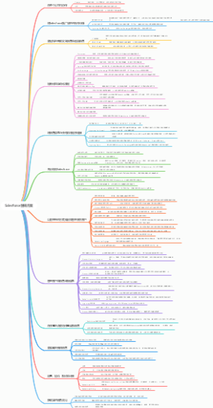 Salesforce营销方案
