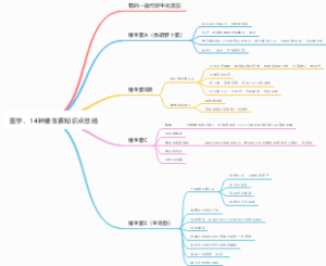 14种维生素知识点总结