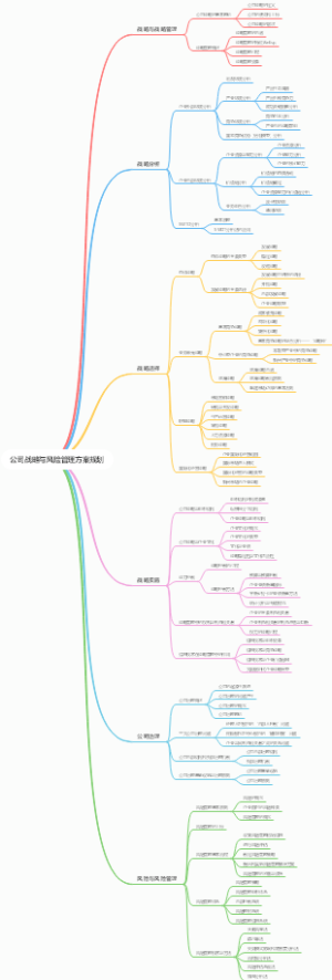 公司战略与风险管理方案规划