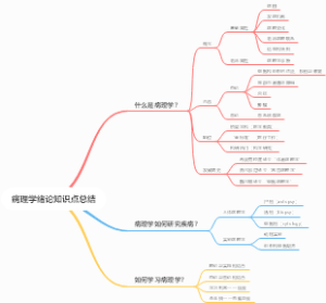 病理学绪论知识点总结
