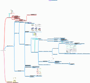 Control of cell cycle by kinas