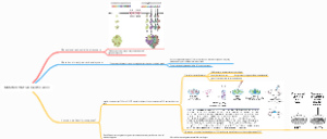 Mutations that can lead to cancer