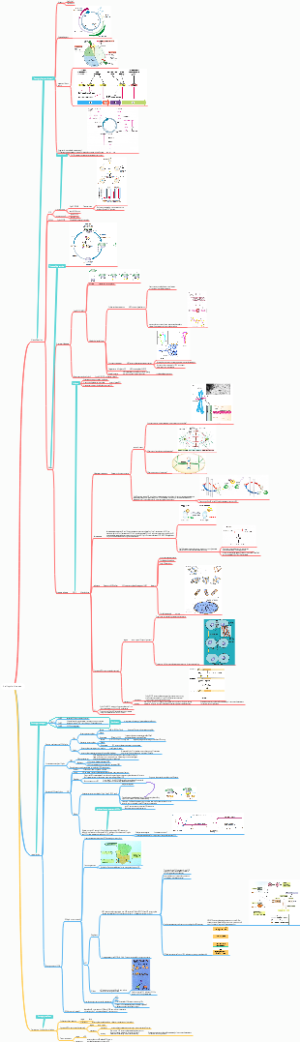Cell cycle kinases