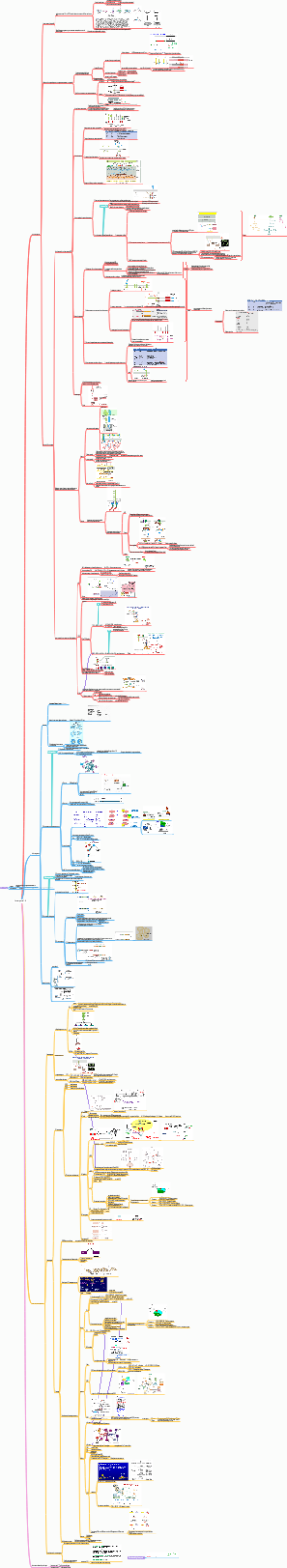 Cancer genes 1.0