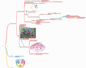 Hypertension mechanis-m