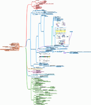 Transcription