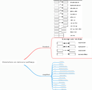 Annotations on molecular pathw