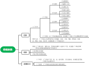经络系统