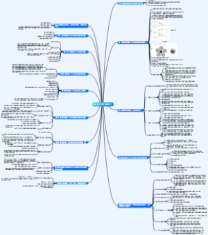 怪诞行为学 可预测的非理性