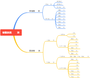 骨骼思维导图