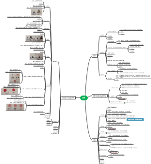 蒙台梭利语言教育