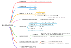 蛋白质的分子组成