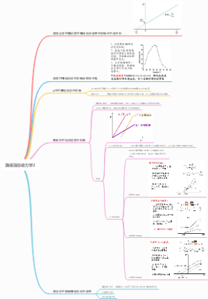 酶促反应动力学2