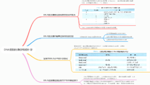 DNA复制的酶学和拓扑学