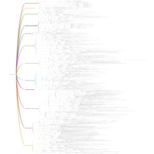 中国古代史，教资，初中，高中