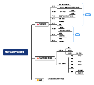八下生物第一章第四节鸟的生殖和发育。