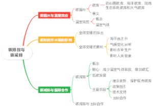 碳排放与碳减排